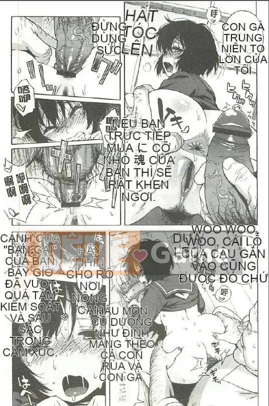 [Sáu lắm] Lời tỏ tình của tình yêu và dục vọng