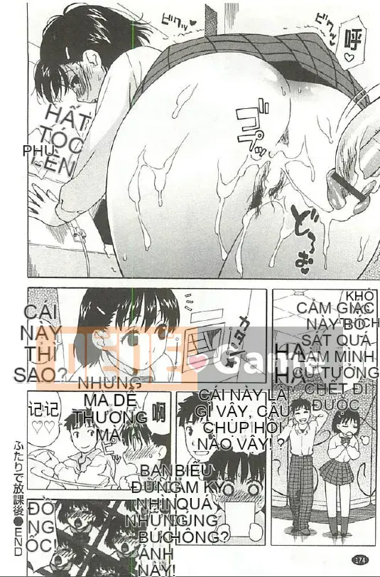 [Sáu lắm] Lời tỏ tình của tình yêu và dục vọng