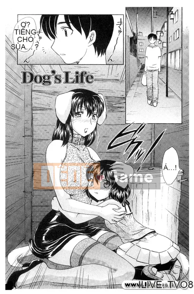 [Hiryu Ran] Vào trong đi ♥