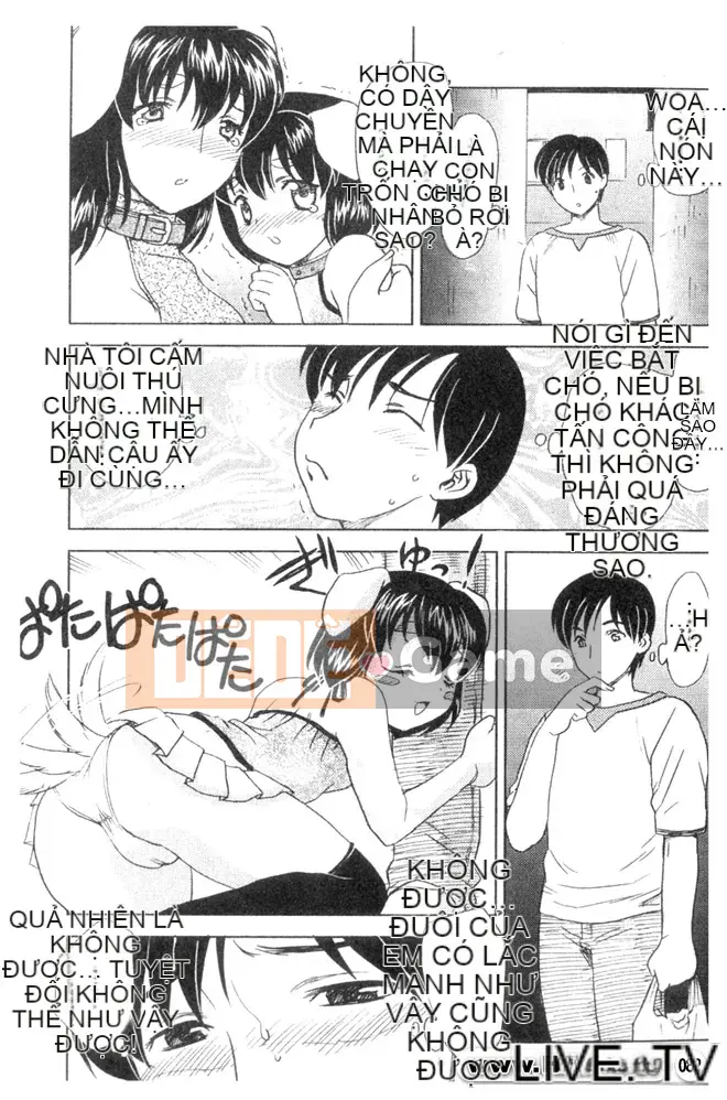 [Hiryu Ran] Vào trong đi ♥