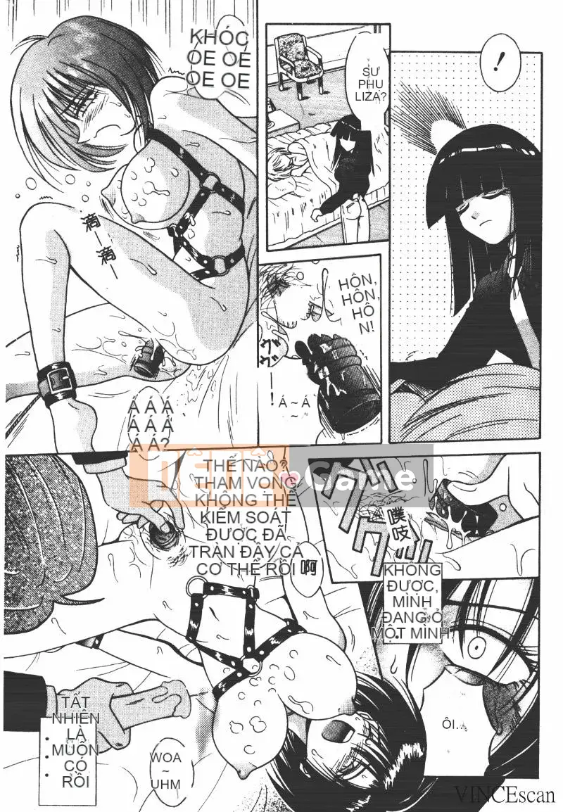 [Miran Matora] Phong cảnh khác thường