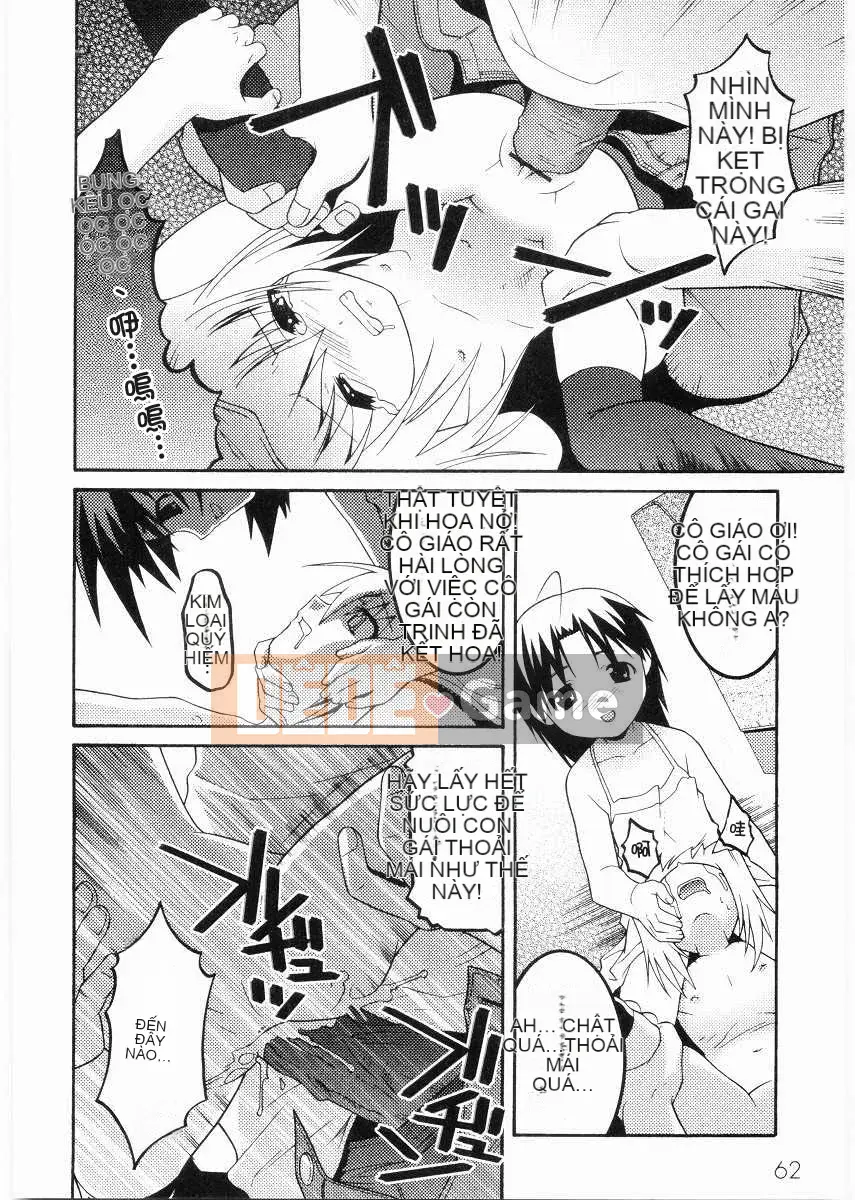 [ひめはち] Lớp học đào tạo của trường tiểu học Noble School