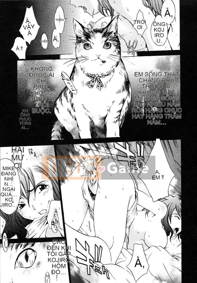 [Kentaro] Cửa hàng cứng