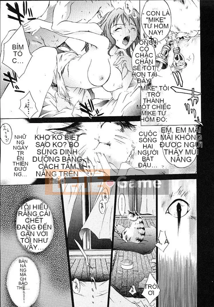 [Kentaro] Cửa hàng cứng