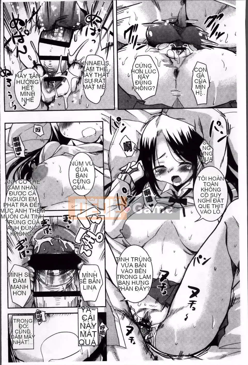 [Narusawa Kei] Con đường chạng vạng mùa hè