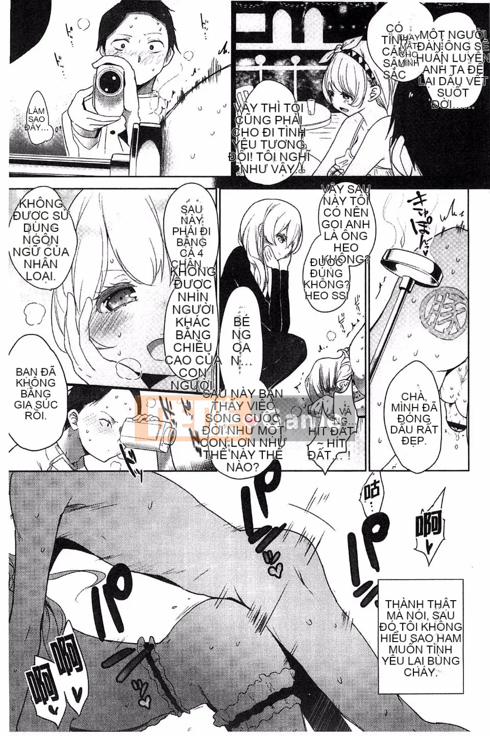 [Đậu] Sữa Vương Miện