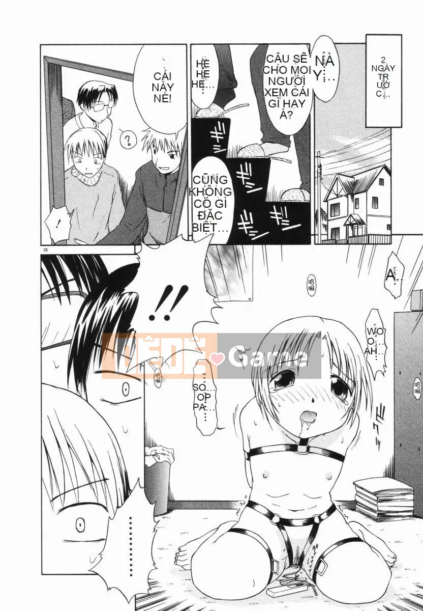 [Yamamoto Kumoi] Bánh cẩm thạch