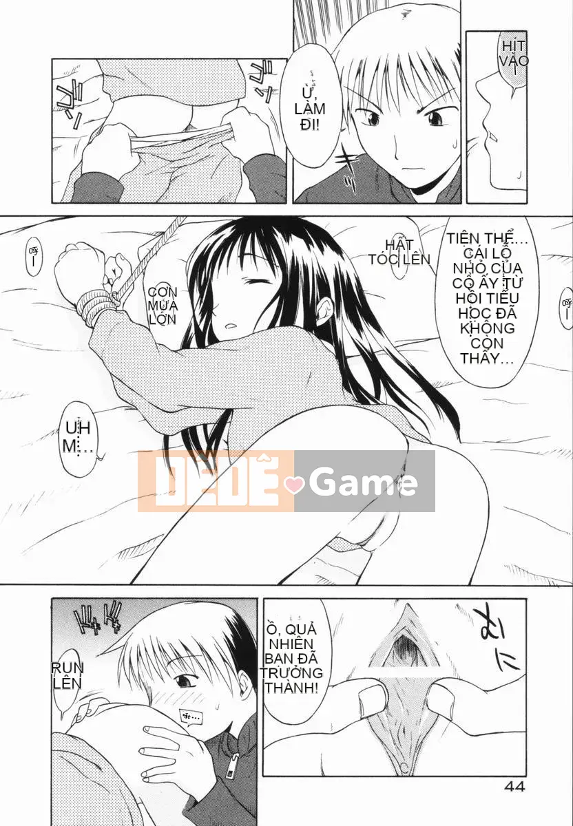 [Yamamoto Kumoi] Bánh cẩm thạch