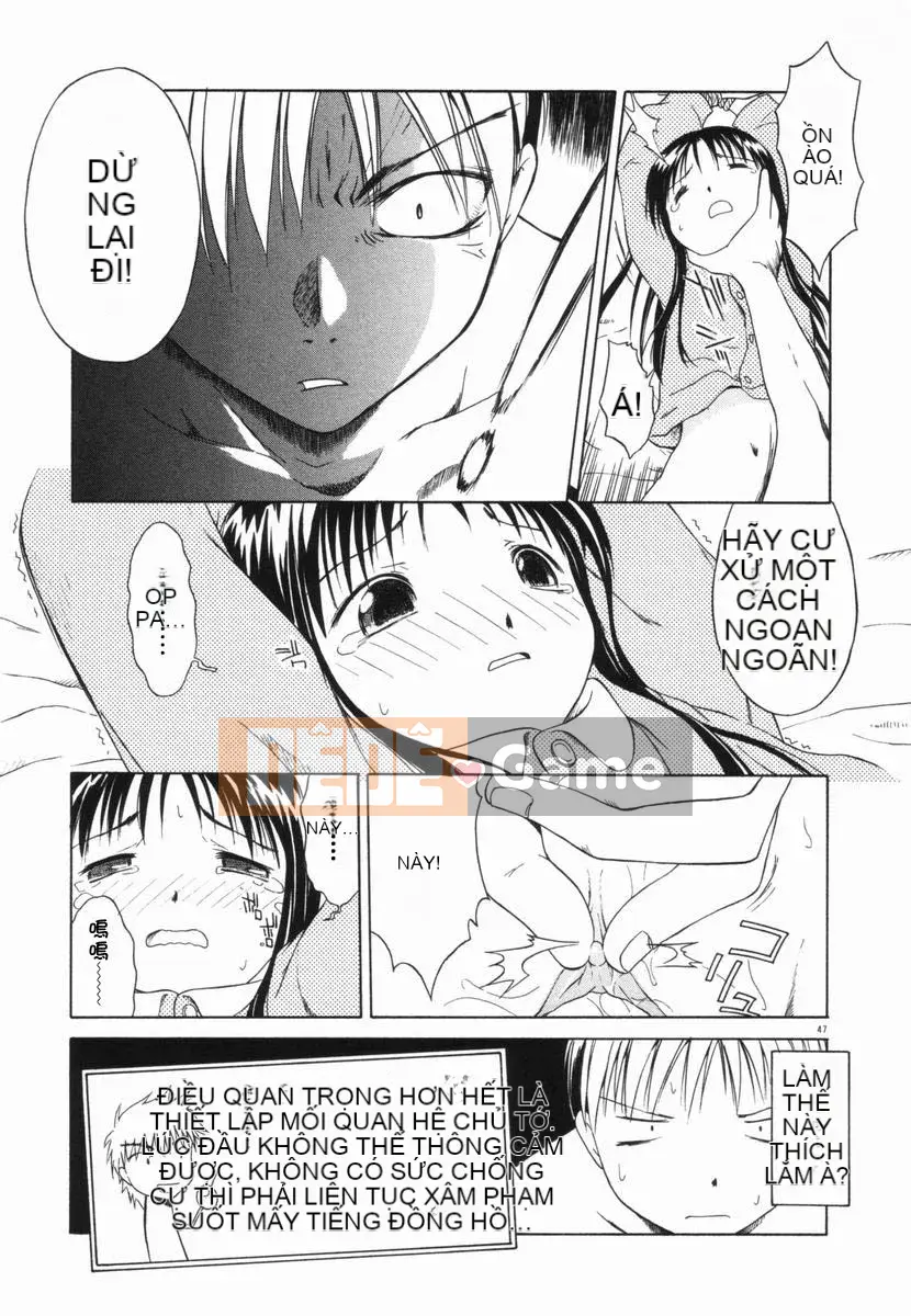 [Yamamoto Kumoi] Bánh cẩm thạch