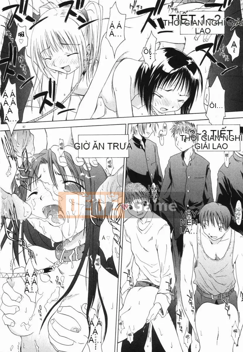 [Yamamoto Kumoi] Bánh cẩm thạch