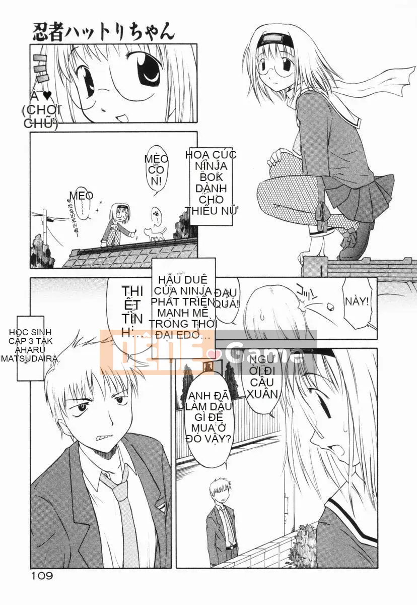 [Yamamoto Kumoi] Bánh cẩm thạch