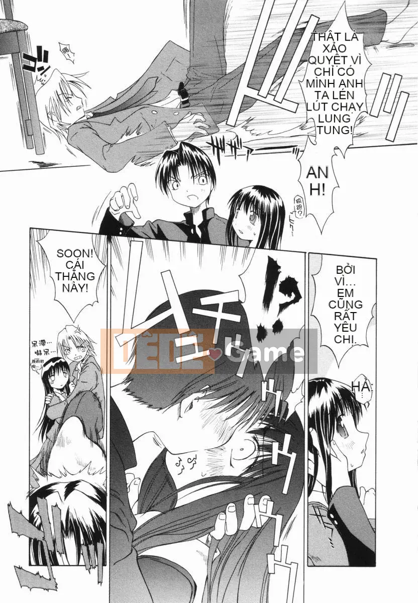 [Yamamoto Kumoi] Bánh cẩm thạch