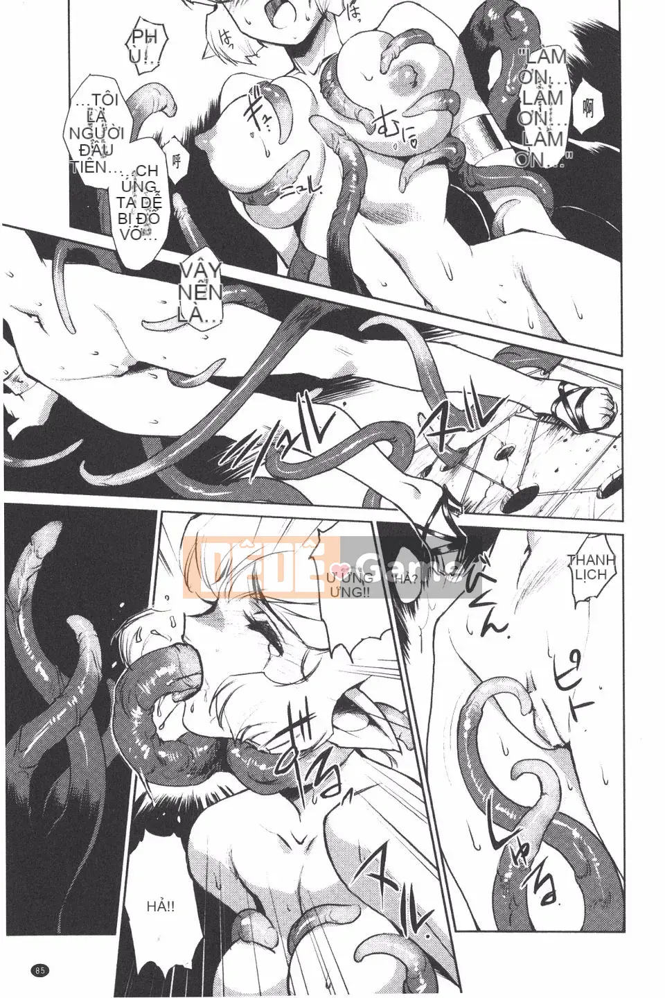 [Kajiyama Hiroshi] Imma no Territory