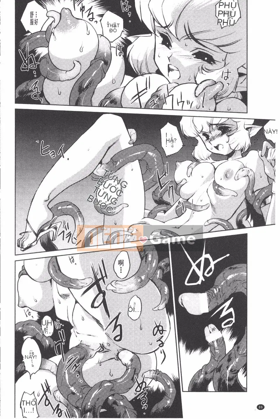 [Kajiyama Hiroshi] Imma no Territory