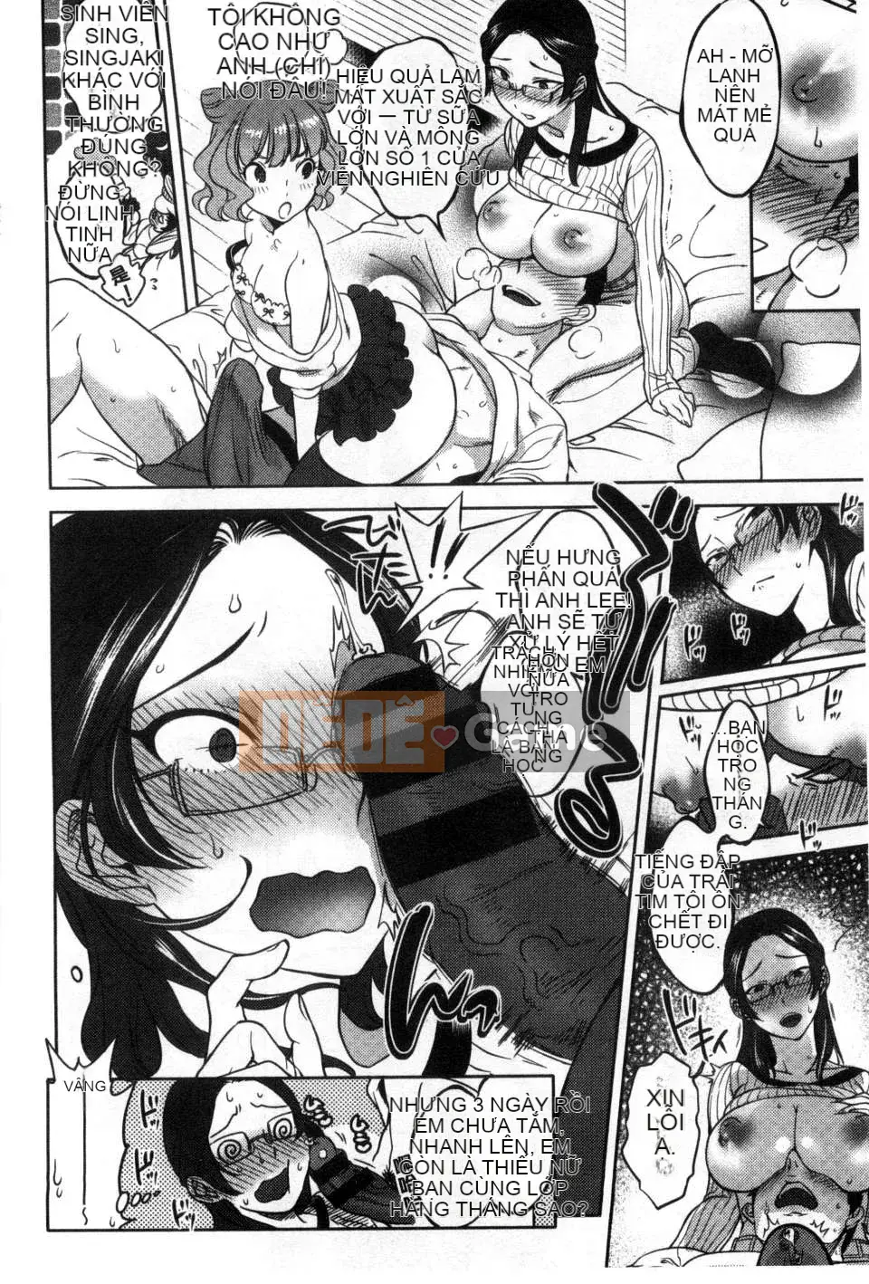 [Bắc và Nam] Cô dâu của mọi người