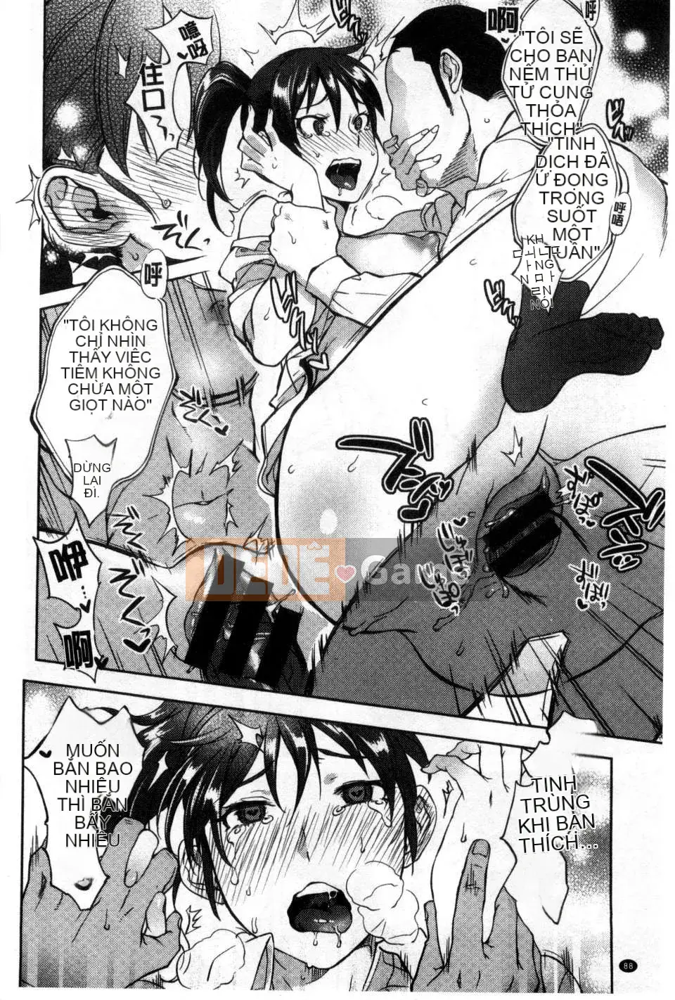 [Bắc và Nam] Cô dâu của mọi người