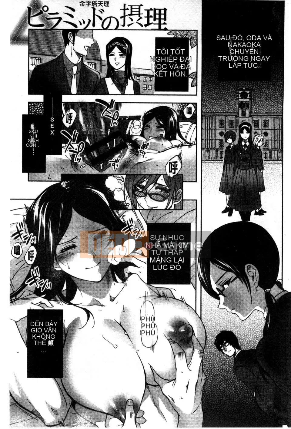 [Bắc và Nam] Cô dâu của mọi người