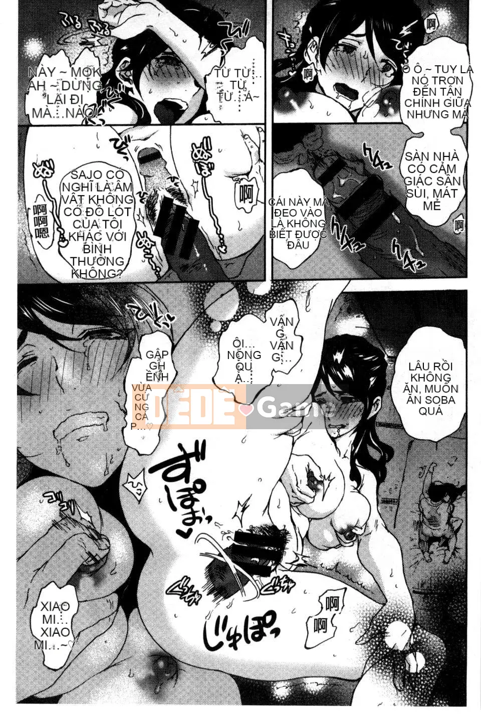 [Bắc và Nam] Cô dâu của mọi người