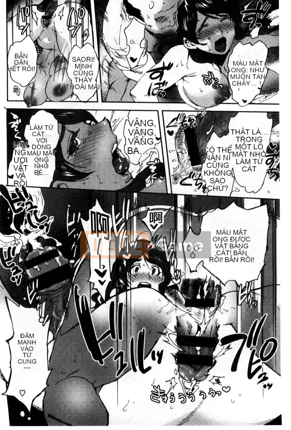 [Bắc và Nam] Cô dâu của mọi người