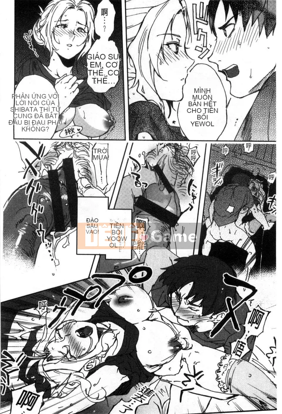 [Bắc và Nam] Cô dâu của mọi người