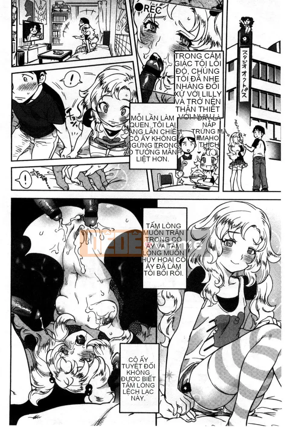 [Bắc và Nam] Cô dâu của mọi người