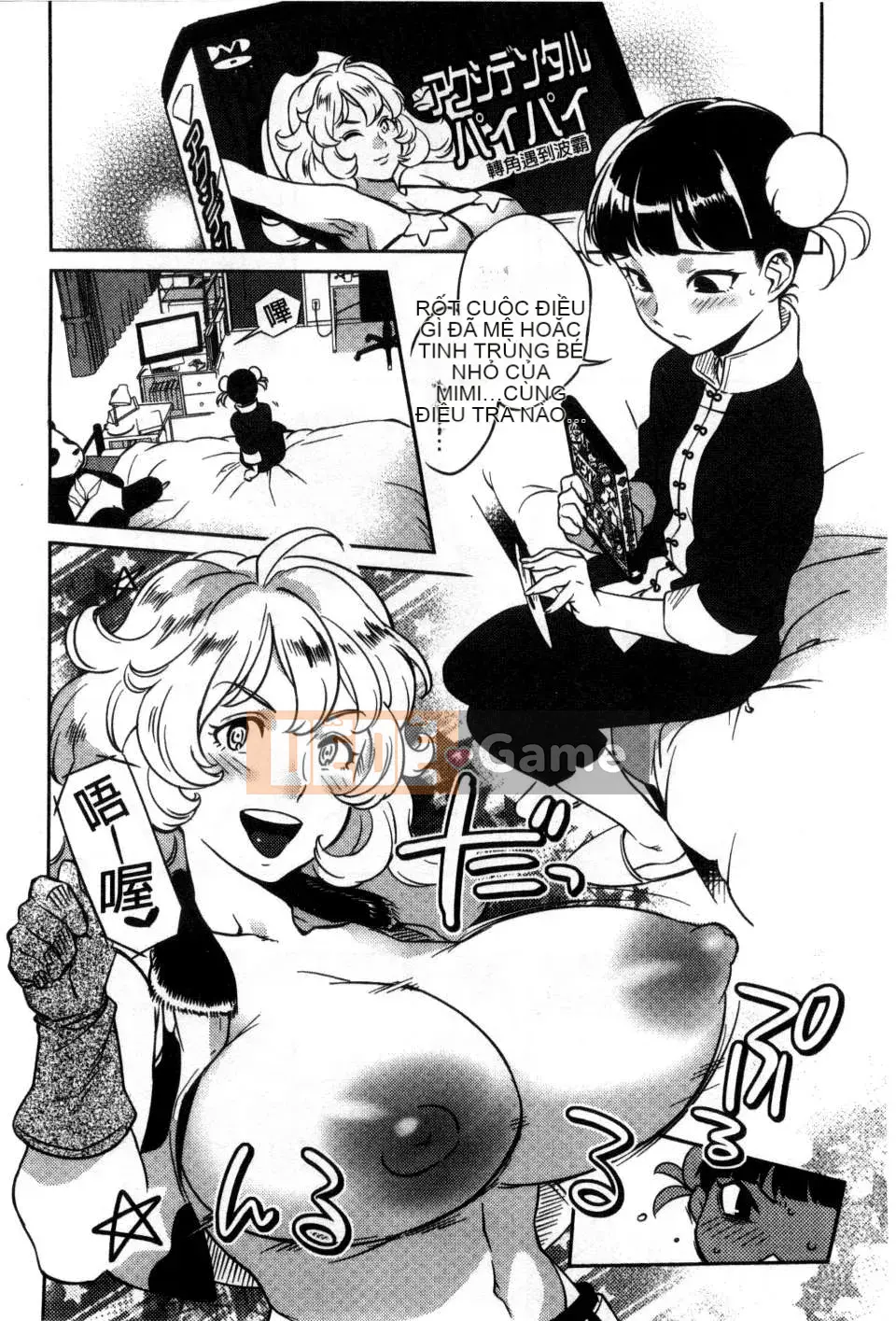 [Bắc và Nam] Cô dâu của mọi người