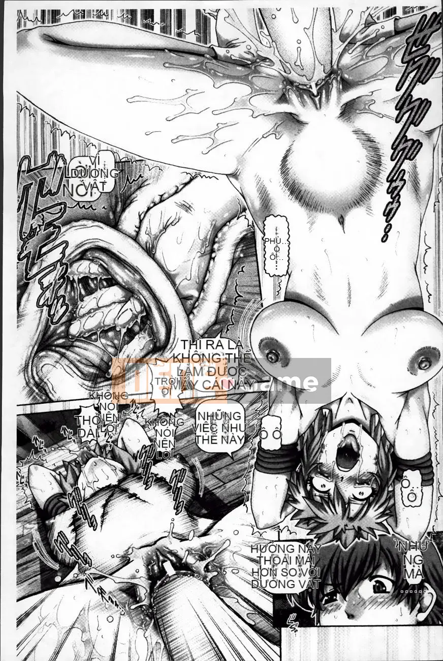 [TYPE.90] Tamahime của Yokan