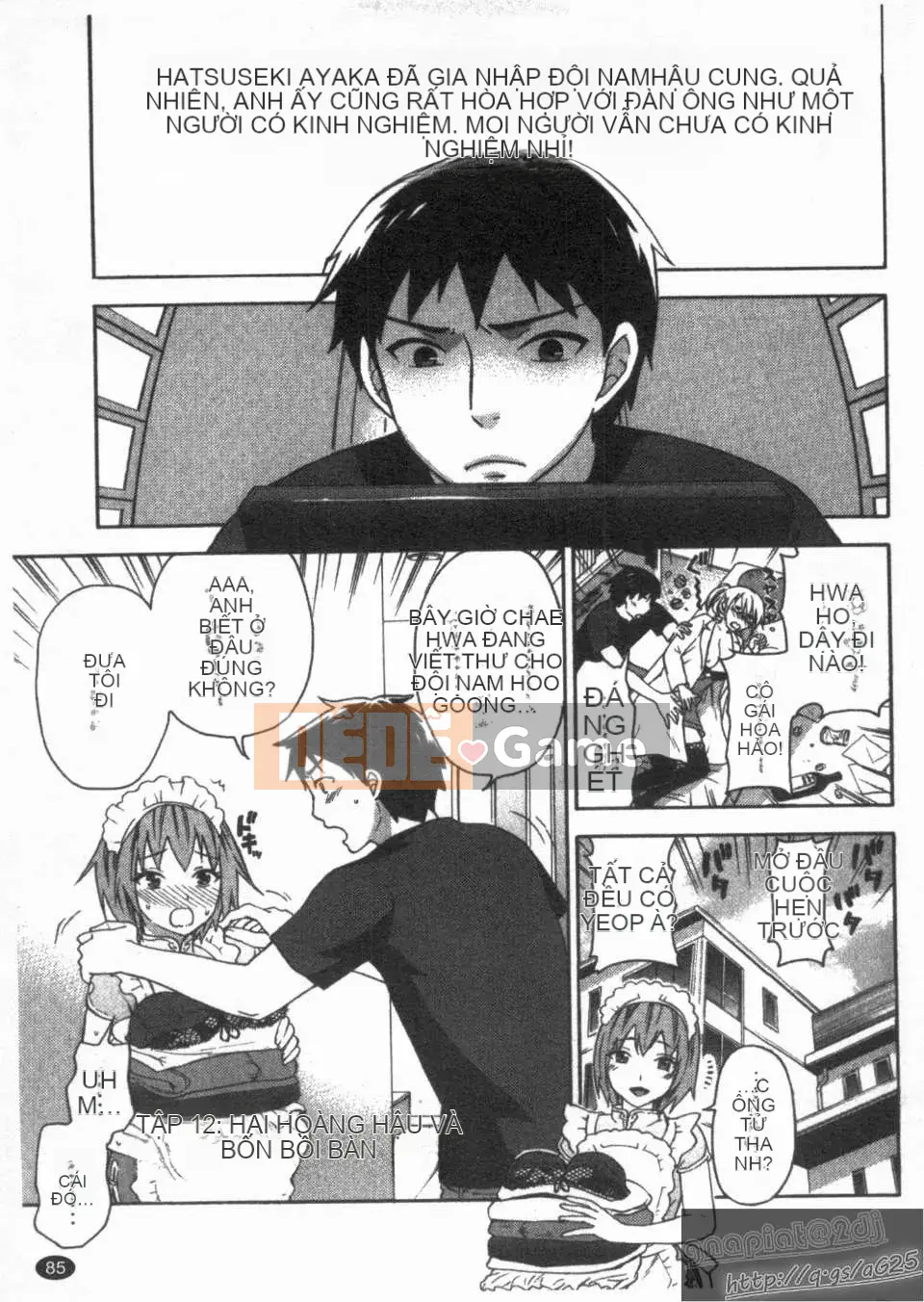 [Kuon Michiyoshi] Zettai ☆ Harem Tập 02