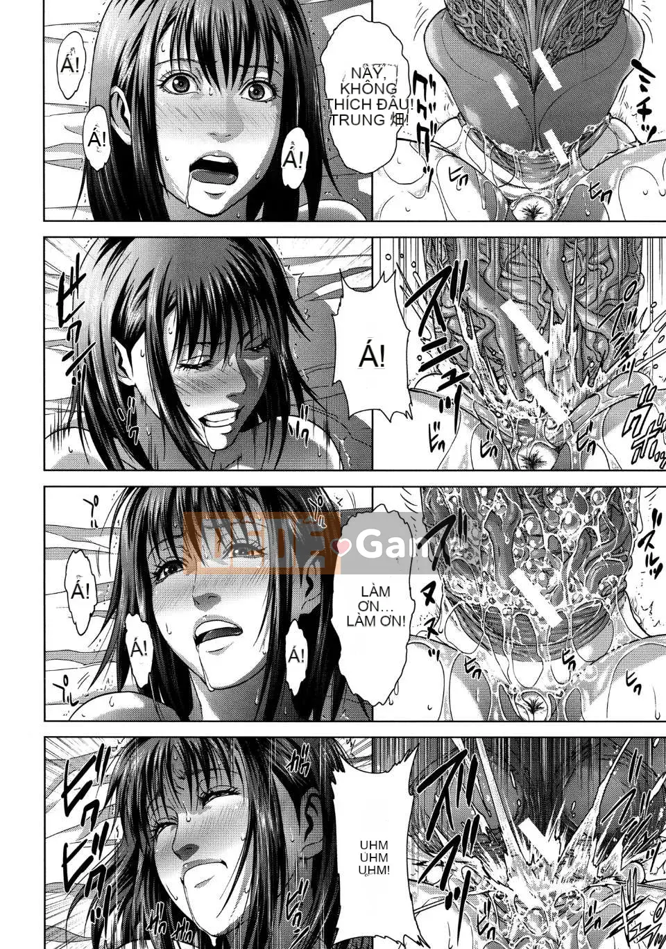 [オオバンブルマイ] Crazy Curiosity [Nhóm Hán hóa Yumeng]