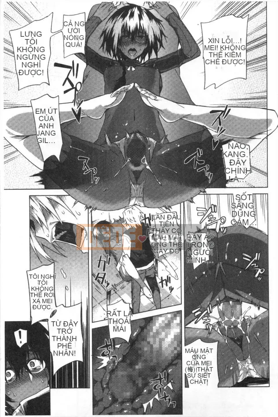 [Fujiya] Mê cung màu hồng