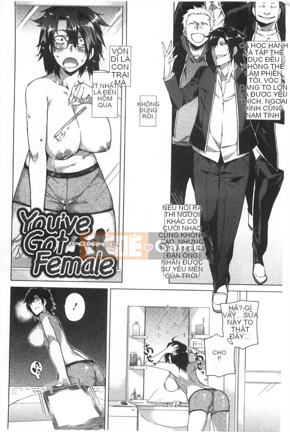 [Fujiya] Mê cung màu hồng