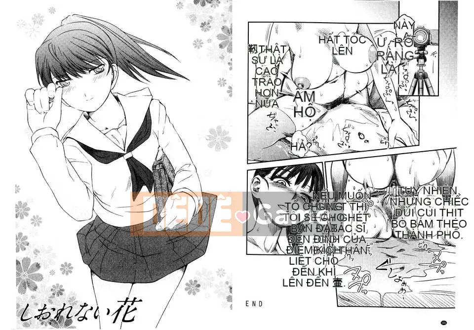 [Maoyu Sweeping Map][clover] Naburi ~Tôi bị một nữ sinh de S cưỡng hiếp tập thể~(C) [Phiên bản giới hạn]