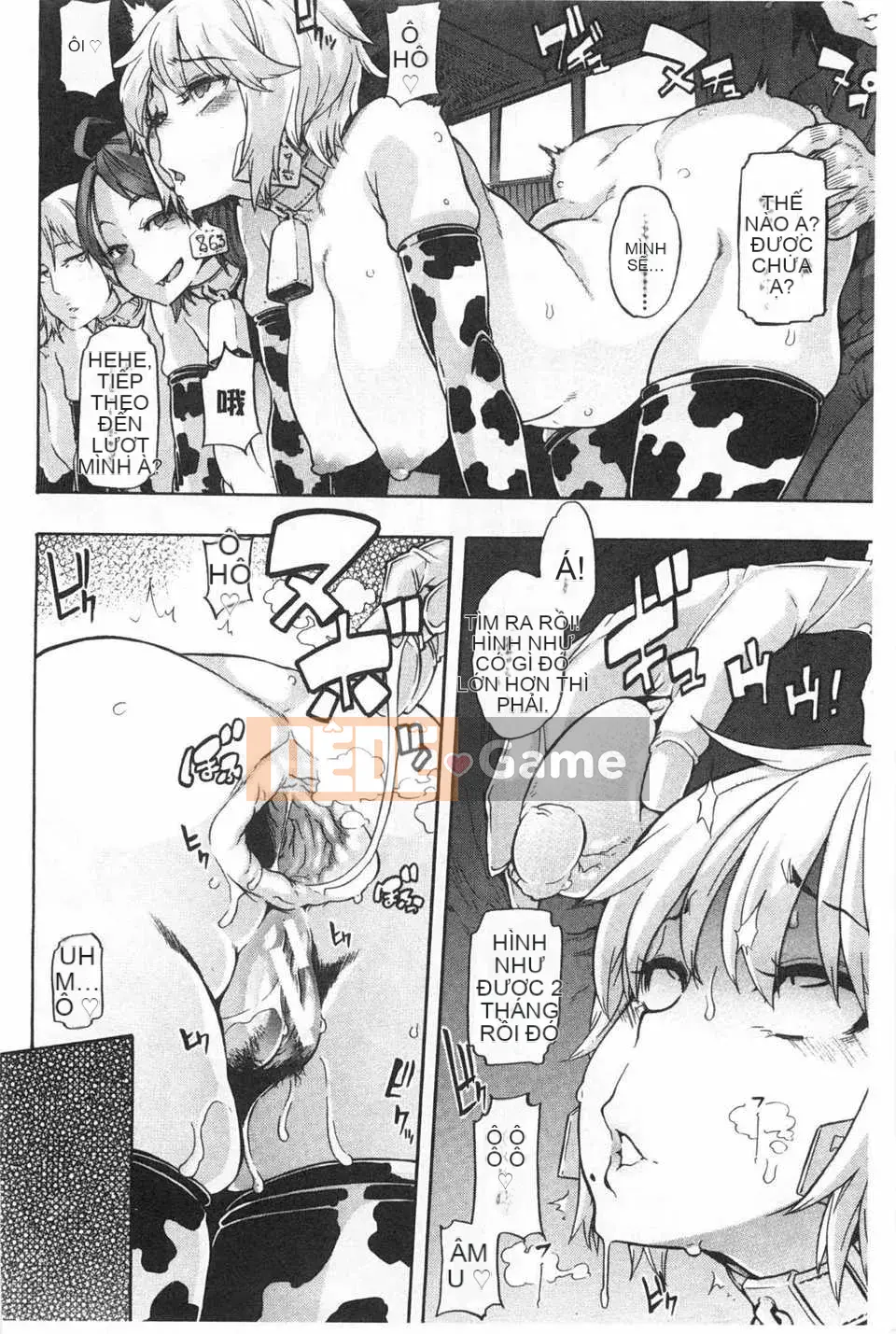 [Shindo L] Junai Irregulars [Trung Quốc] [Bản đồ càn quét bóng tối đen]