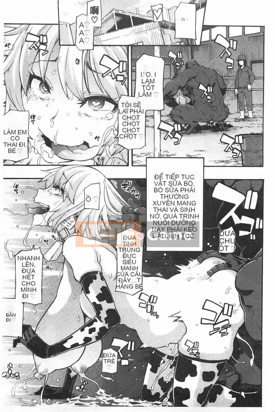 [Shindo L] Junai Irregulars [Trung Quốc] [Bản đồ càn quét bóng tối đen]