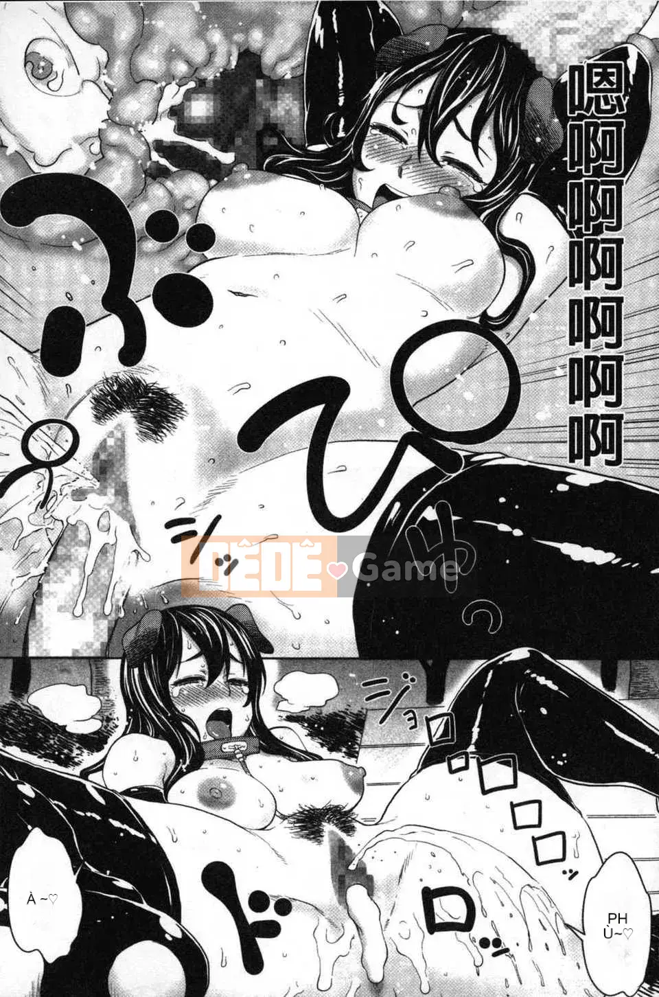 [Bản đồ quét dầu gai dầu][Agata] Chủ tịch thích được nhìn thấy