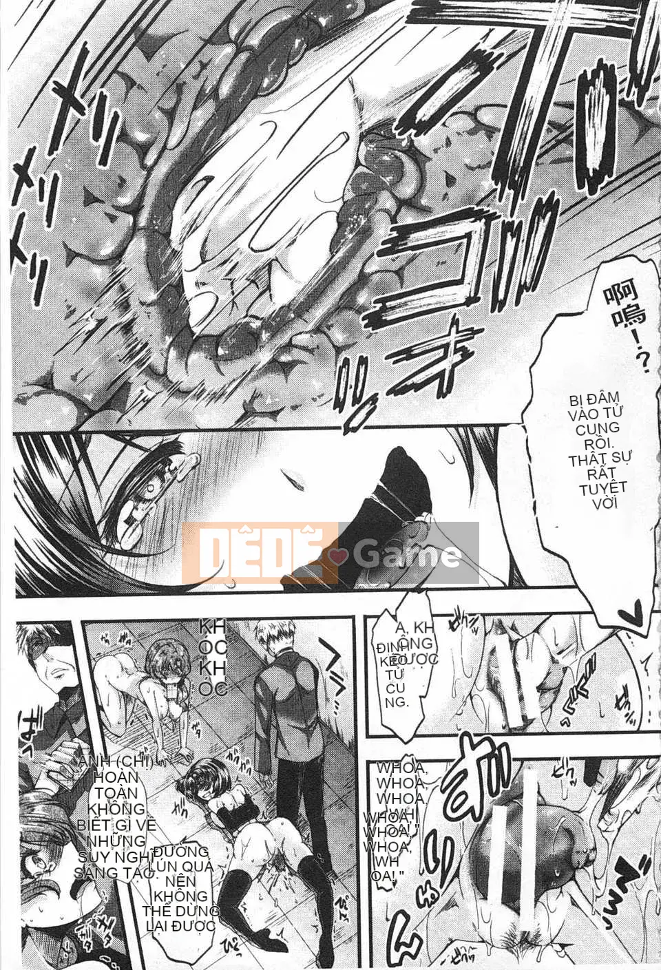 [hal] Korakuen -Tôi còn tệ hơn một con lợn- [Tiếng Trung] [Bản đồ quét bóng tối đen]