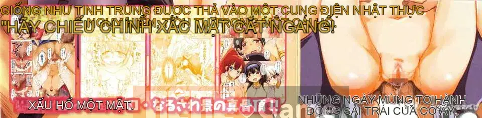 [Bảng xếp hạng con gái khoảng cách tình yêu trong sáng] [Narusawa Kei] Toronama Heroines [V2]