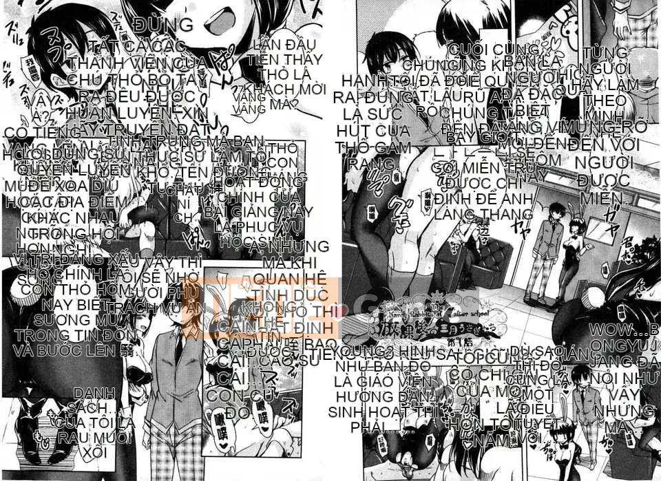 [Narusawa Kei] March Rabbits After School (Tranh sơn dầu Myanmar)[New World C2316]