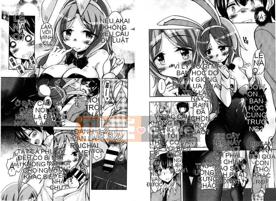 [Narusawa Kei] March Rabbits After School (Tranh sơn dầu Myanmar)[New World C2316]