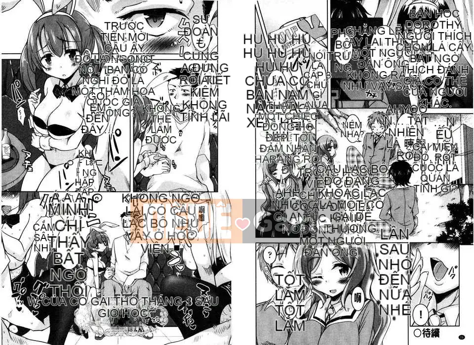 [Narusawa Kei] March Rabbits After School (Tranh sơn dầu Myanmar)[New World C2316]