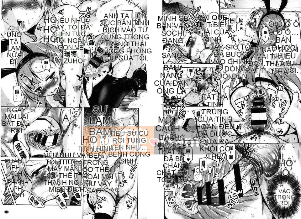 [Narusawa Kei] March Rabbits After School (Tranh sơn dầu Myanmar)[New World C2316]