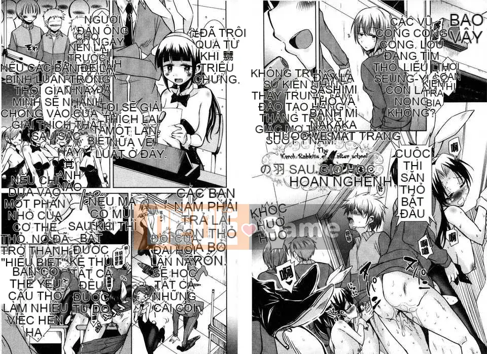 [Narusawa Kei] March Rabbits After School (Tranh sơn dầu Myanmar)[New World C2316]