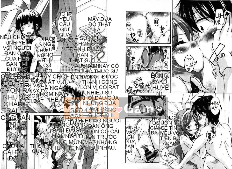 [Narusawa Kei] March Rabbits After School (Tranh sơn dầu Myanmar)[New World C2316]