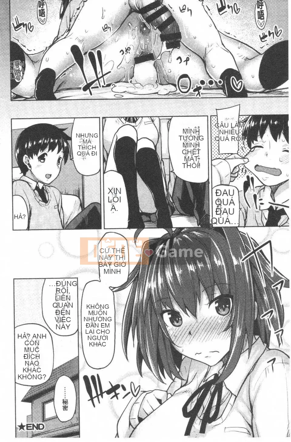 [Moketa] Mùi Koiiro + sách nhỏ 8 trang