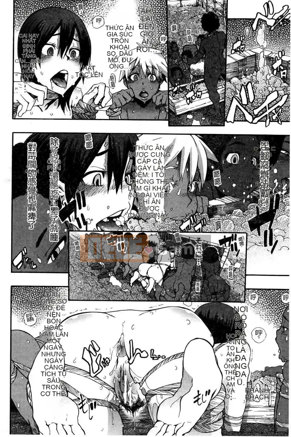 [Shindo L] Nhân học Văn hóa của Shindo L [Tiếng Trung]