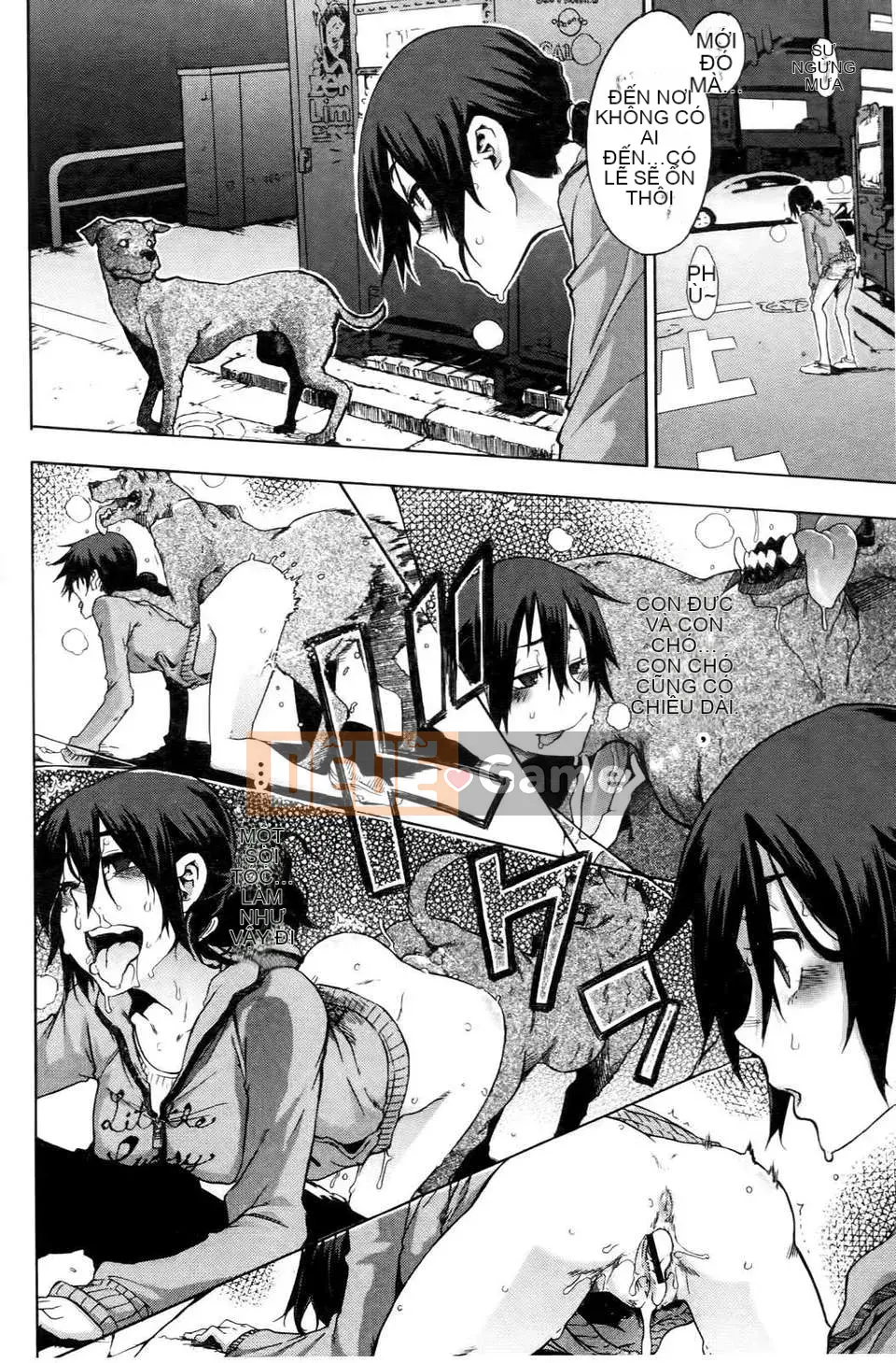 [Shindo L] Nhân học Văn hóa của Shindo L [Tiếng Trung]