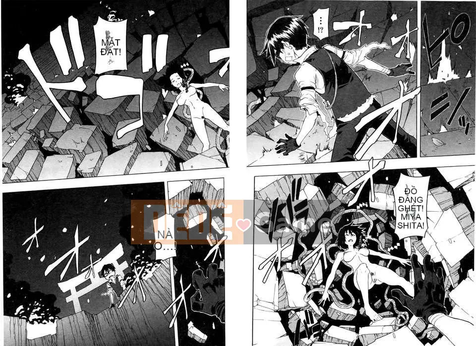 [Shindo L] Nhân học Văn hóa của Shindo L [Tiếng Trung]