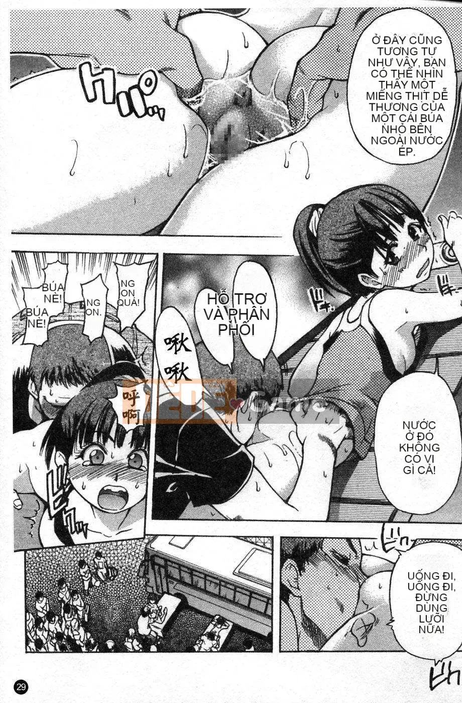 [Shiwasu no Okina] Shining Musume Vol.4