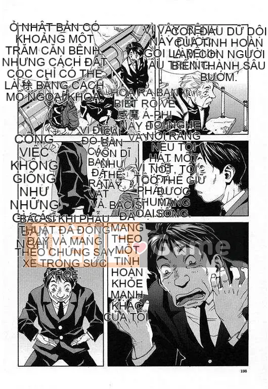 [Seto Yuuki] Stringend (NGƯỜI THỔI CỦA TÔI)