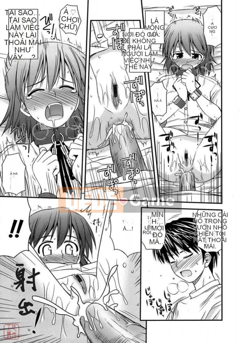 [Konno Azure] Shishunki Crazyz